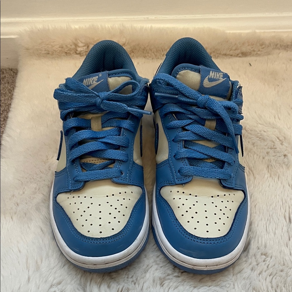 Nike Kids Dunks in Light Blue and Cream SZ 4Y